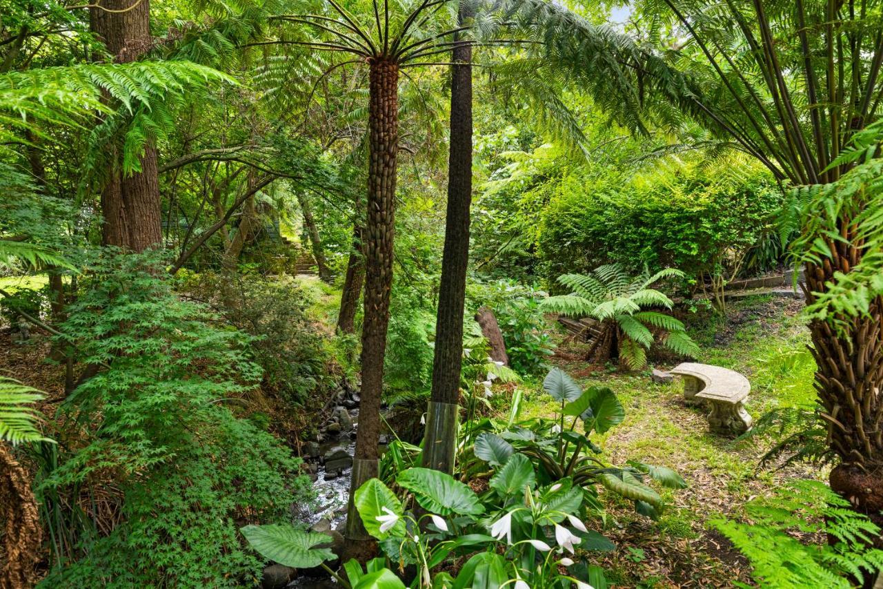 Paddys Creek Retreat Villa Upwey Kültér fotó