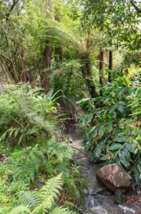 Paddys Creek Retreat Villa Upwey Kültér fotó
